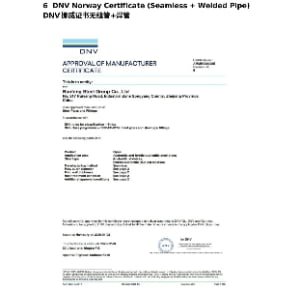DNV Classification Society Certificate
