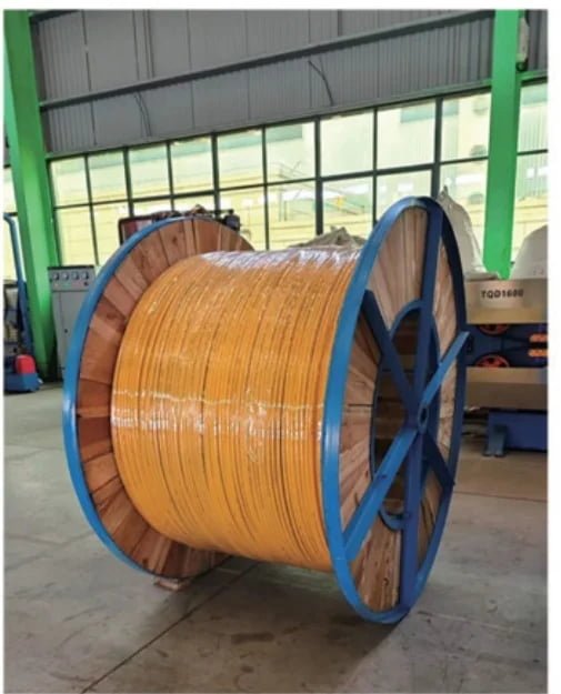 Encapsulated Control Line